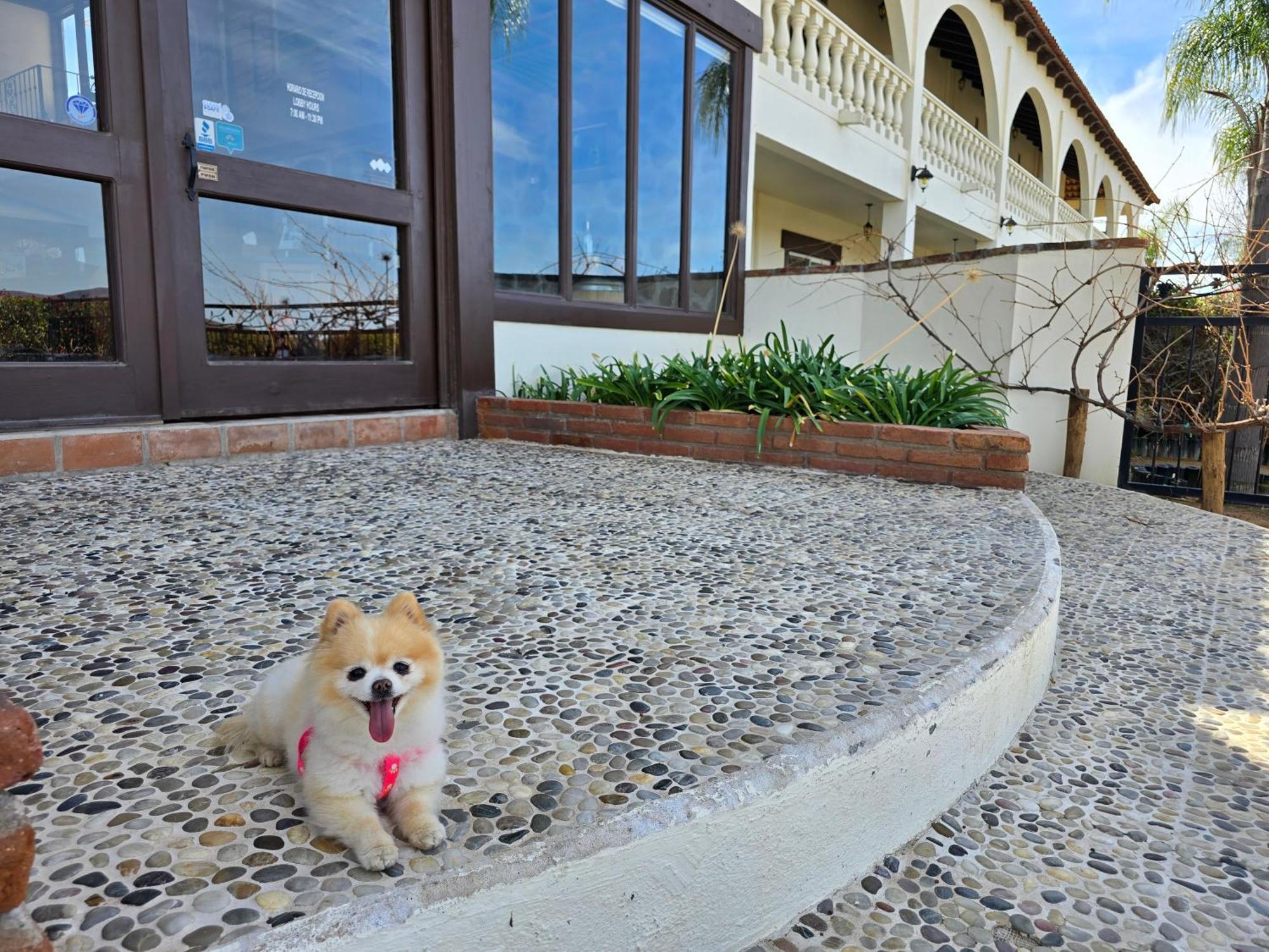 Hacienda Guadalupe Hotel Екстериор снимка