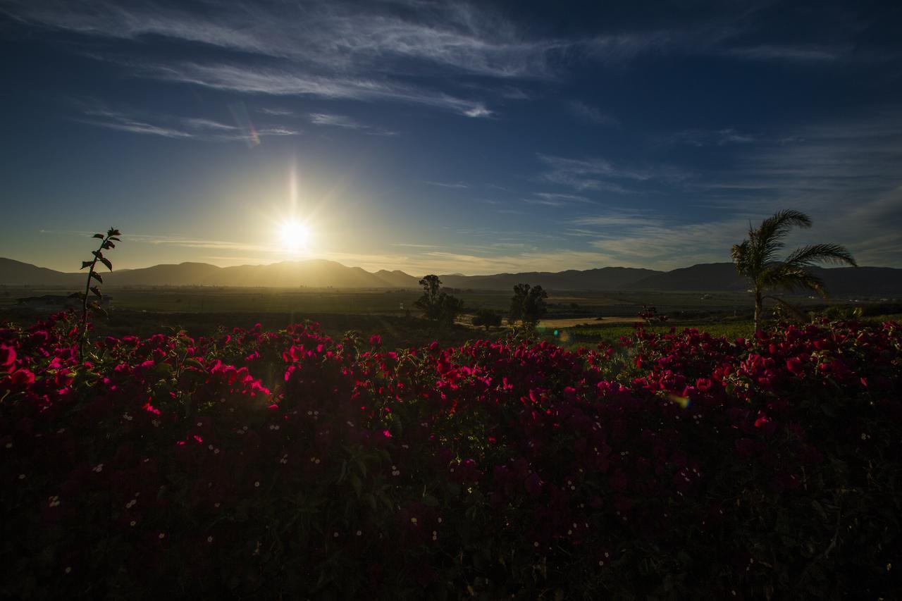 Hacienda Guadalupe Hotel Екстериор снимка