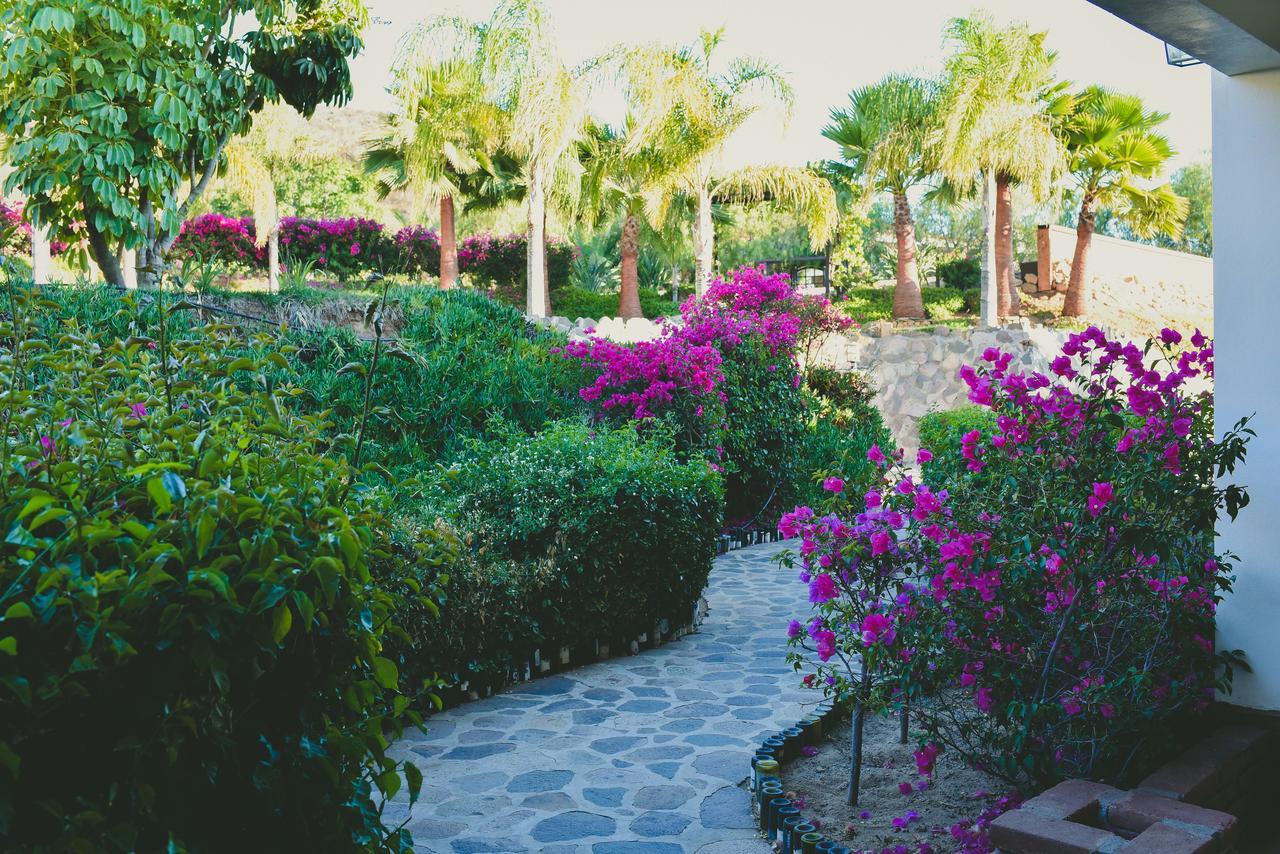 Hacienda Guadalupe Hotel Екстериор снимка